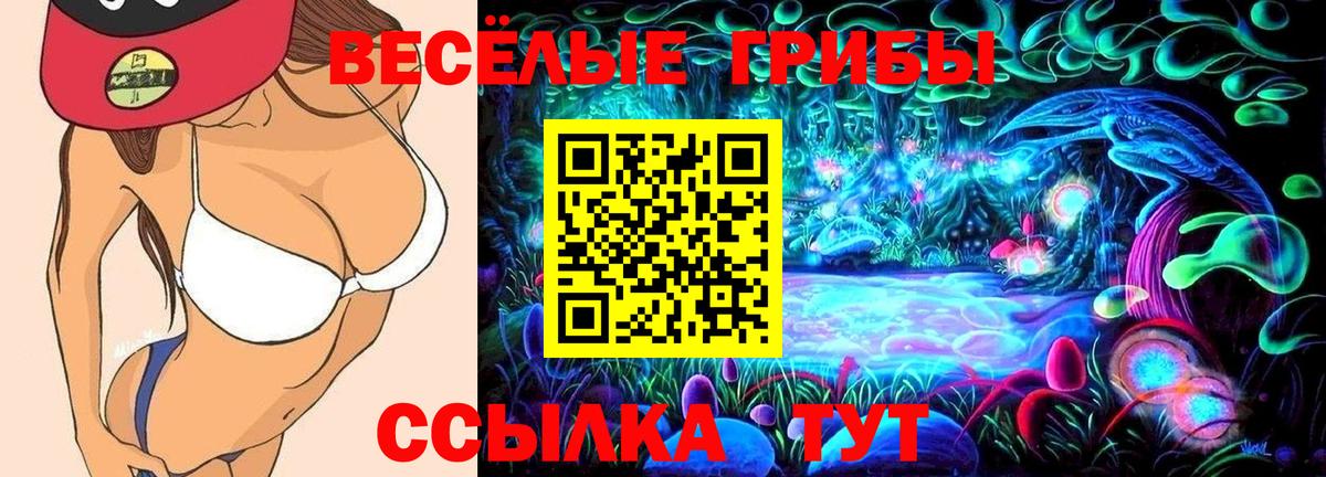 продажа наркотиков  Галлюциногенные грибы GOLDEN TEACHER  Вход с VPN  Назрань 
