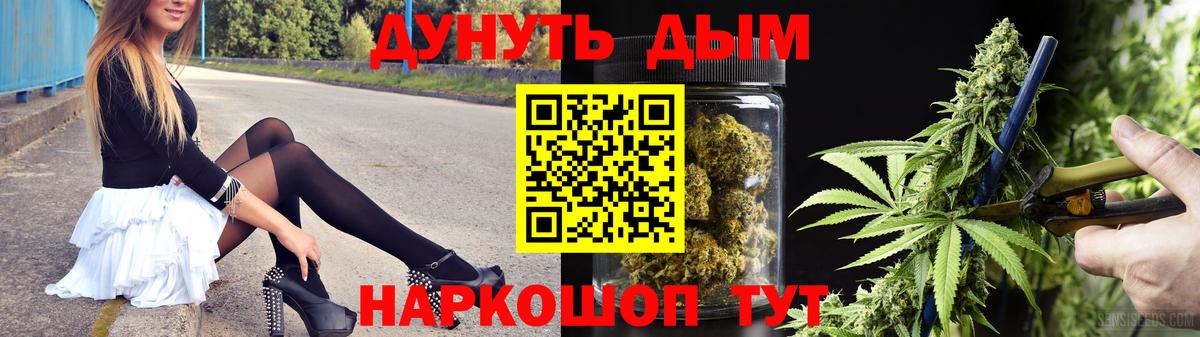 Бошки марихуана сатива  Вход с VPN  Марихуана конопля  Назрань 